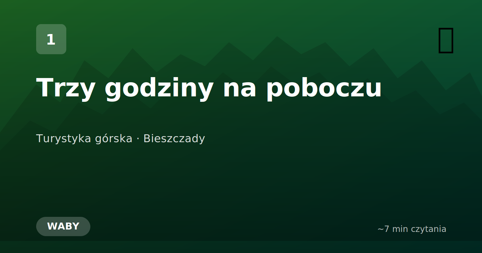 Trzy godziny na poboczu, czyli jak NIE planować powrotu z Połoniny Wetlińskiej